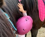 Seelentröster Pferd - tiergestützte Intervention