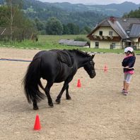 Slalom für Tier und Mensch - Philhippies Ponyclub