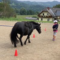 Slalom für Tier und Mensch - Philhippies Ponyclub